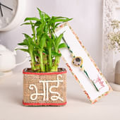 Custom Bhai Lucky Bamboo N Rakhi