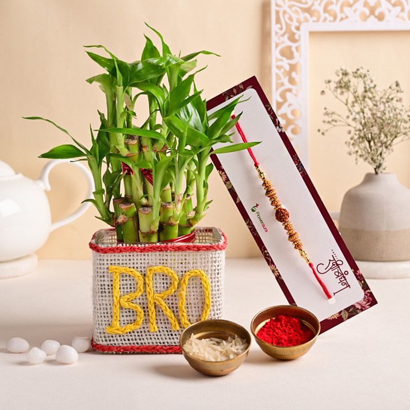 Custom Bro Lucky Bamboo N Rakhi