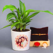 Custom Philodendron Rakhi - One Designer Rakhi with Roli and Chawal and Foliage Plant in Flower Matki Vase