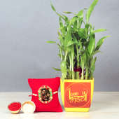 Personalised Rakhi with Lucky Bamboo Plant