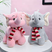 Cute Elephant Duo