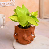 Order Cute Ganesha Pot With Money Plant