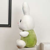 Lateral View of Cute Green Bunny Soft Toy