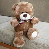 Cute N Cuddly Mr Teddy