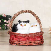 Cute N Fluffy Cats Soft Toy Gift