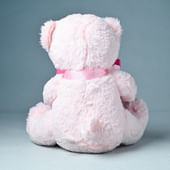 back view of Cute teddy 