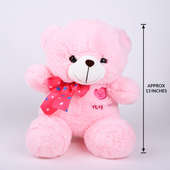 Cute Teddy Soft Toy