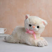 Cutesy Cat Soft Toy