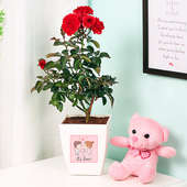 Rose Plant with Teddy Combo