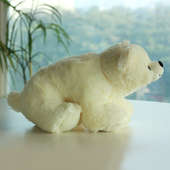 Cutie White Teddy Bear