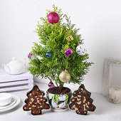 Buy Cypress Christmas Tree N Two Tree Shape Plum Cakes Online