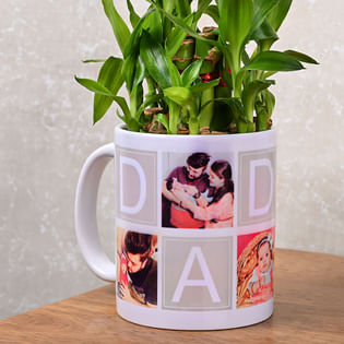 Dad Custom Bamboo Plant