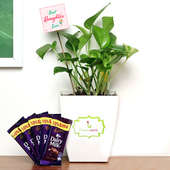 Money Plant with Chocolates for Daughter