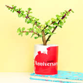 Jade Plant in Anniversary Mug