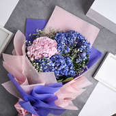 Send Dazzling Hydrangeas Flower Bouquet