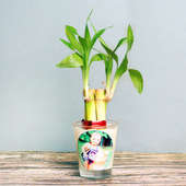 Bamboo Plant in Personalised Shot Glass