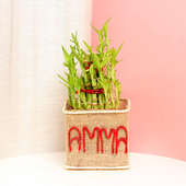 Bamboo in Glass Vase for Mom Wrapped in Jute
