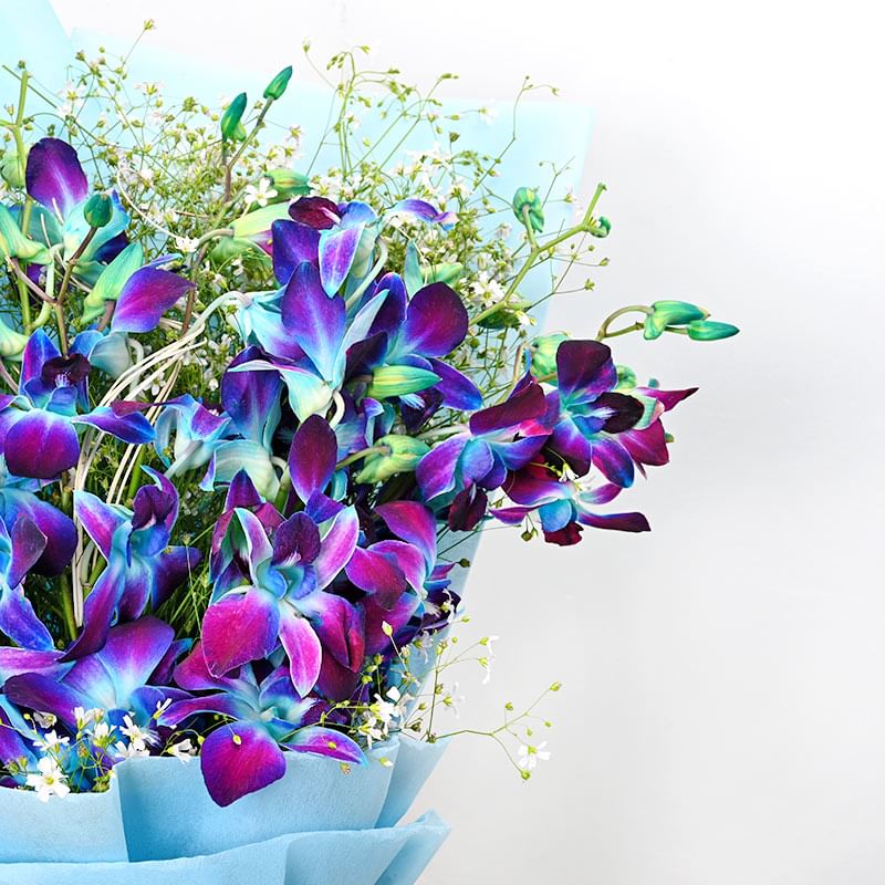 Order Delicate Royal Orchid Bouquet Online in India