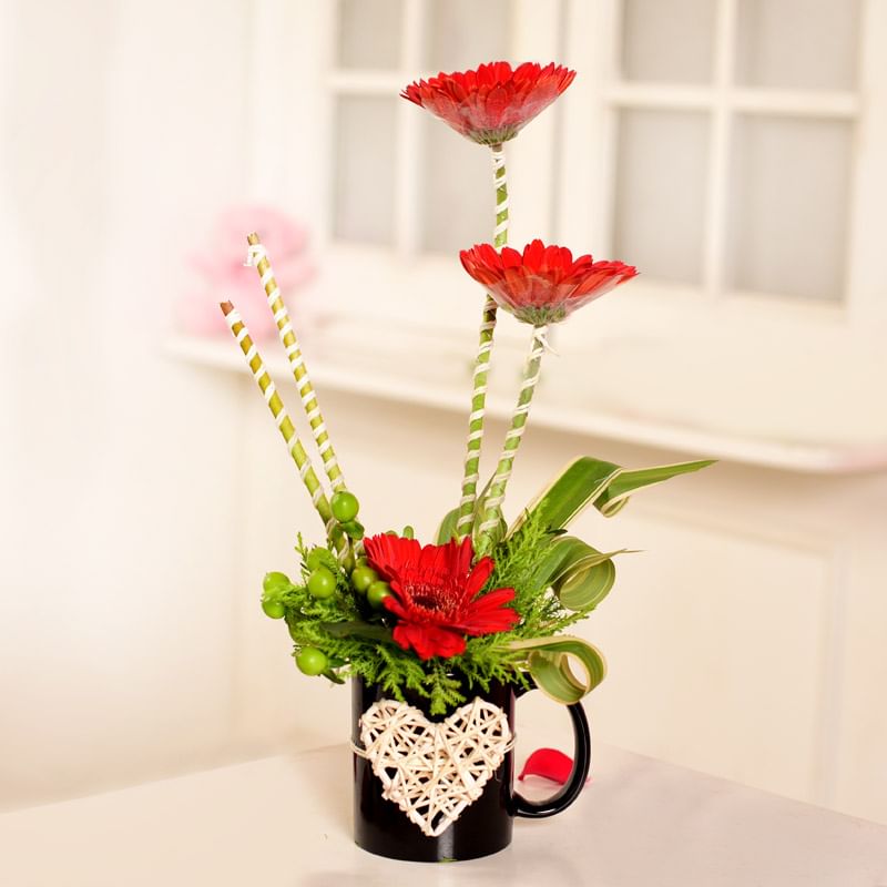 Delightful Cute Floral Arrangements of Gerberas