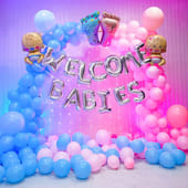 Delightful Twin Babies Balloon Decor