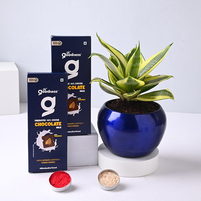 Product Image Video