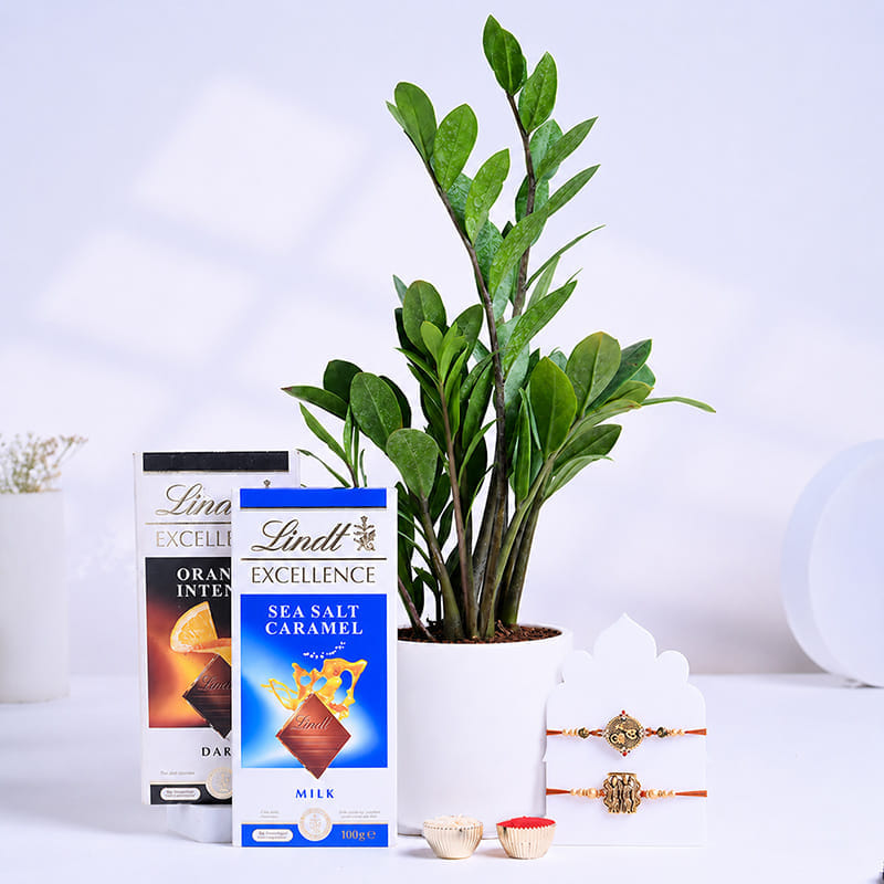 Designer Rakhi Duo With Chocolates N Plant