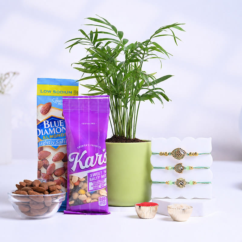 Designer Rakhi Trio With Plant N Snacks