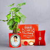 Designer Rakhi With Syngonium Green Plant