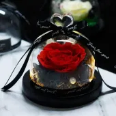 Timeless Love Preserved Rose