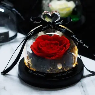 Timeless Love Preserved Rose
