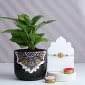 Divine Ganesha Rakhi N Money Plant