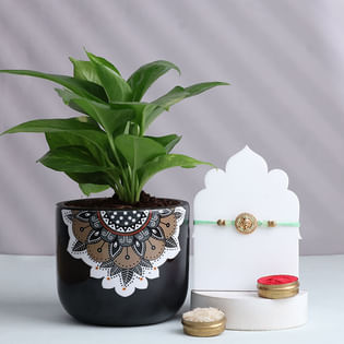 Divine Ganesha Rakhi N Money Plant