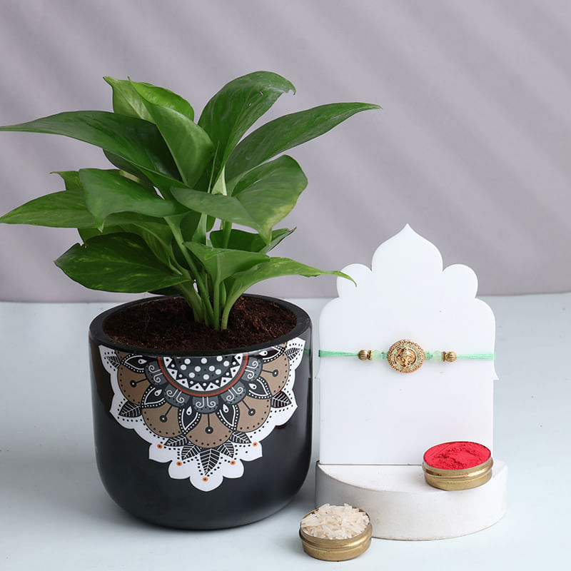 Product Image Video