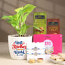 Divine Rakhi Duo With Money Plant N Sweets