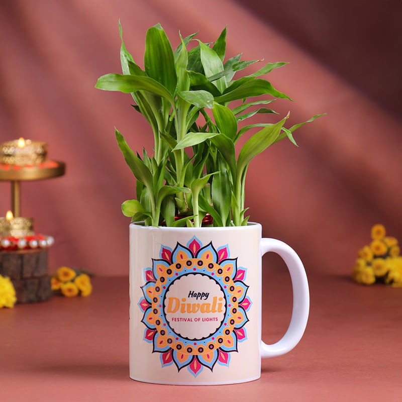 Product Image Video