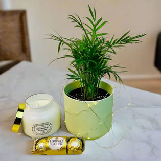 Tranquil N Tasty Gift Hamper