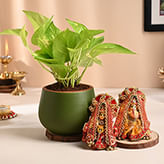 Diwali Plants Online