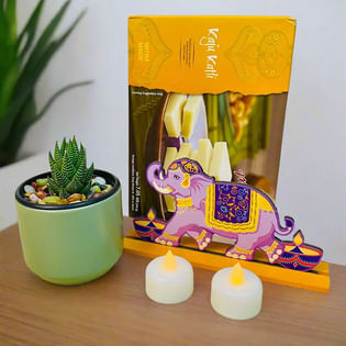 Haworthia Plant With Festive Decor N Kaju Katli