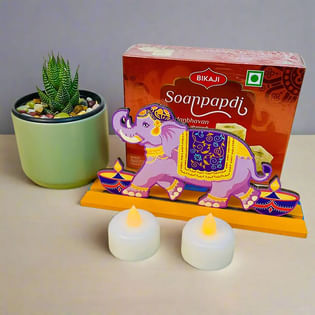 Haworthia Plant With Festive Decor N Soan Papdi