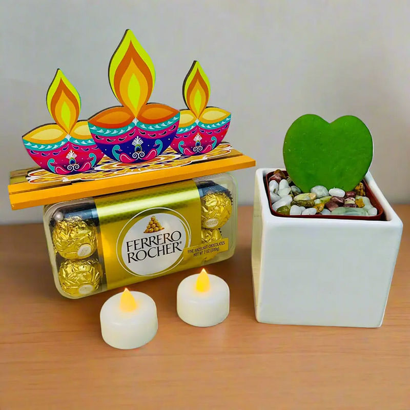 Hoya Plant With Festive Decor N Ferrero Chocolate