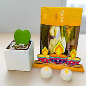Green N Glow Diwali Hamper