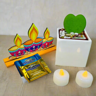 Hoya Plant With Festive Decor N Ghirardelli