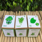 Diy Leafy Kits