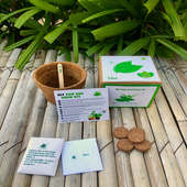 Diy Mint Gardening Kit