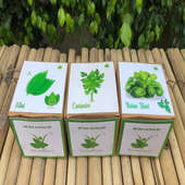 Diy Triple Herb Gardening Kits