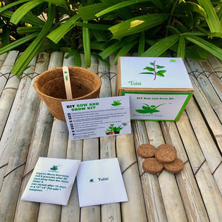 Diy Tulsi Gardening Kit
