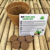 Shop Diy Tulsi Gardening Kit Online