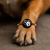 Dog Lover MDF Magnet Pet Rakhi with Decorative Beads