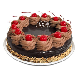 Double Chocolate Cheesecake