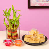 Double Luck Combo - Good Luck Plant Indoors in Square Glass Vase with Set of 5 Diyas and Half Kg Kaju Katli